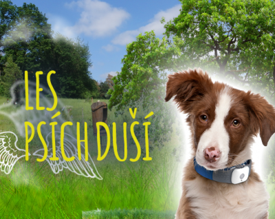 Les psích duší Les psích duší